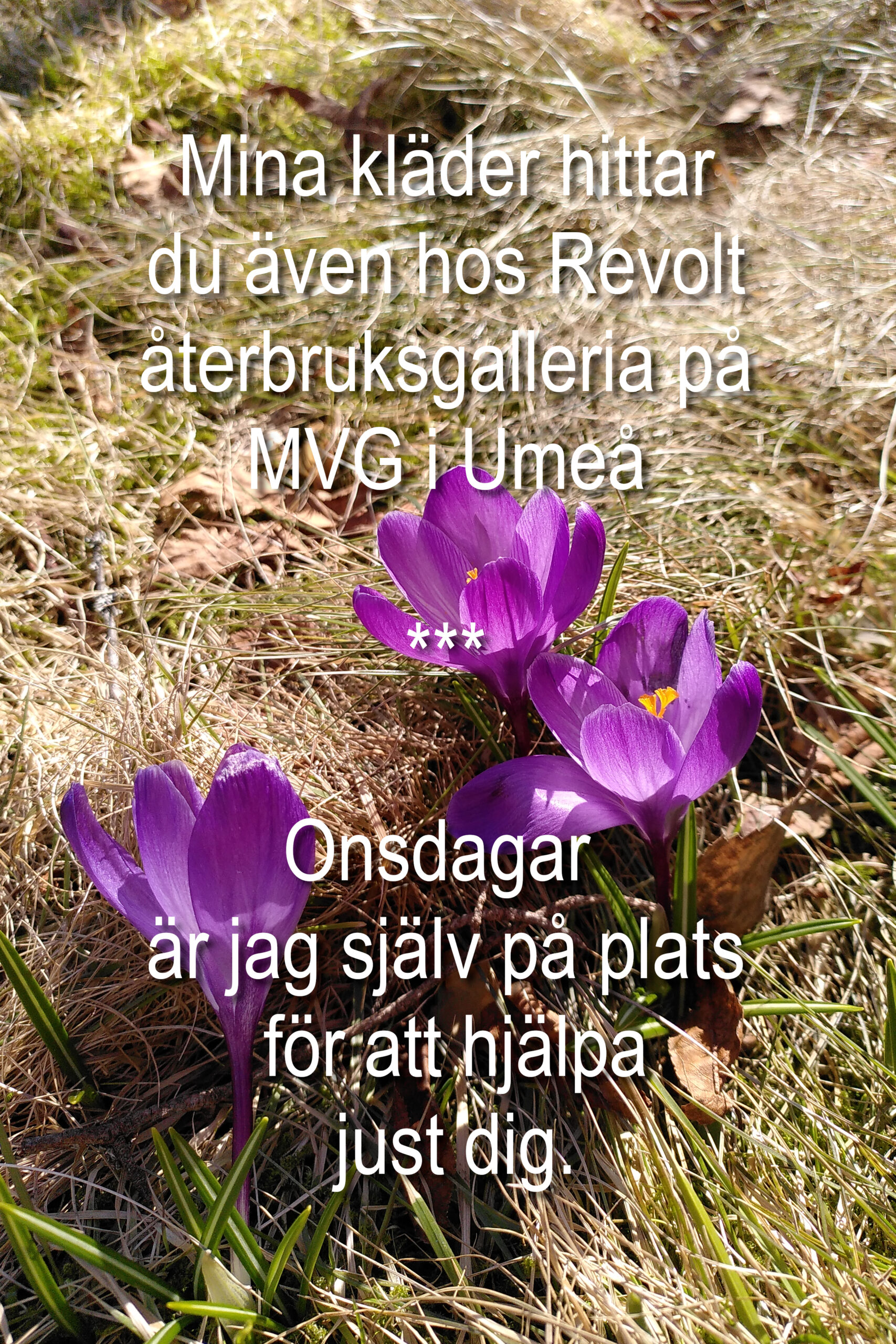 HemRevolt